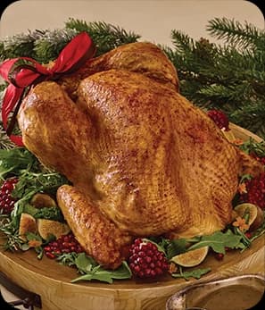Turkeys